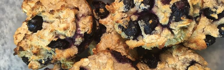 muffin-blueberry-feature