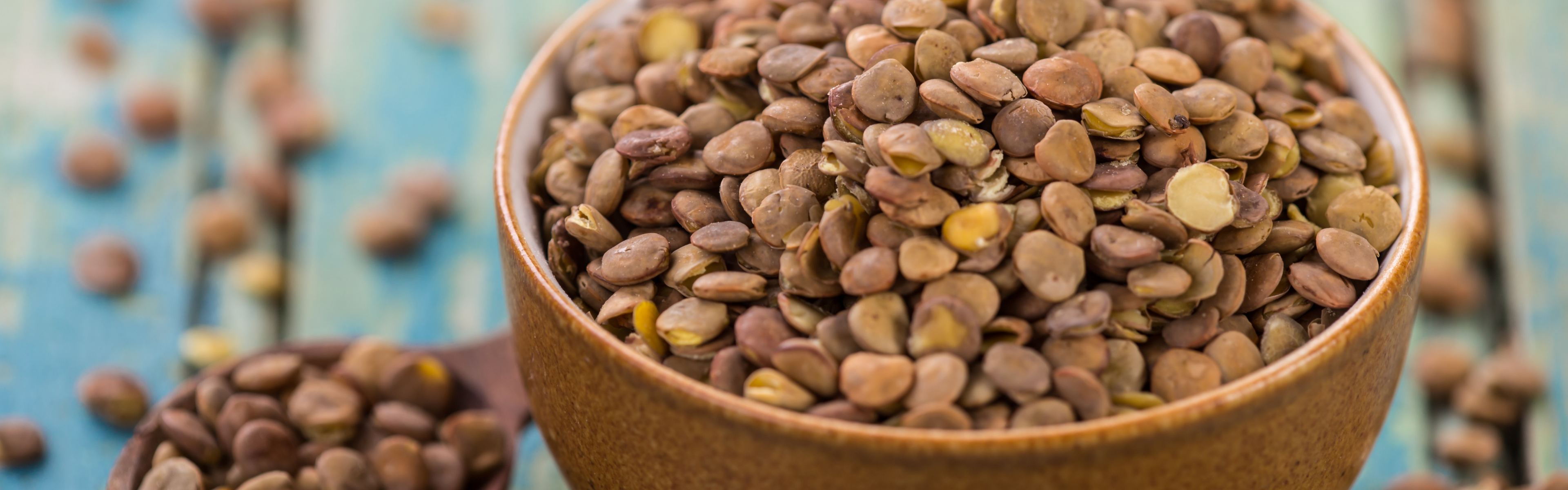 RECIPE CrockPot Lentil Sloppy Joes