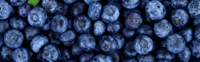 blog-feature-images-13.png